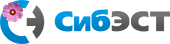 СИБЭСТ