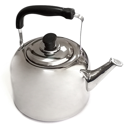 Чайник (нержав.) 6,0 л FT-2901-2010504.JPG